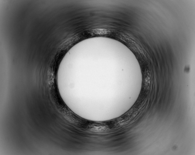 X0000103410555200810100959