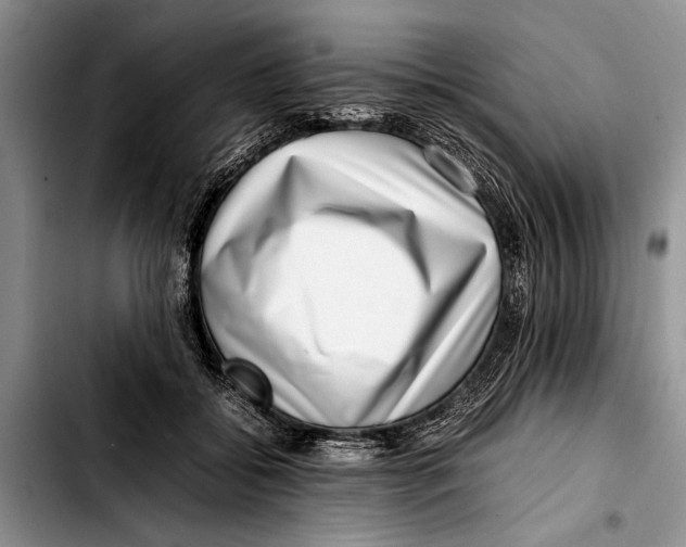 X0000103410556200810100959