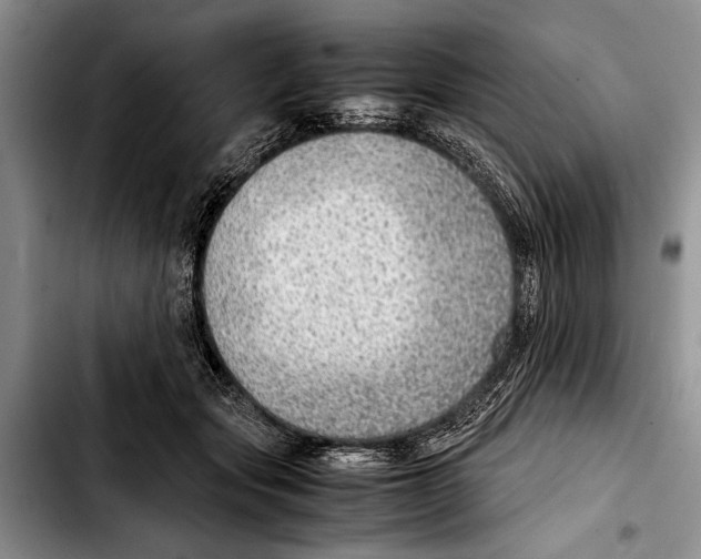 X0000103410557200810100959