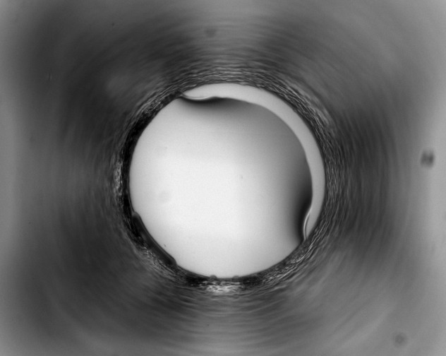 X0000103410560200810100959