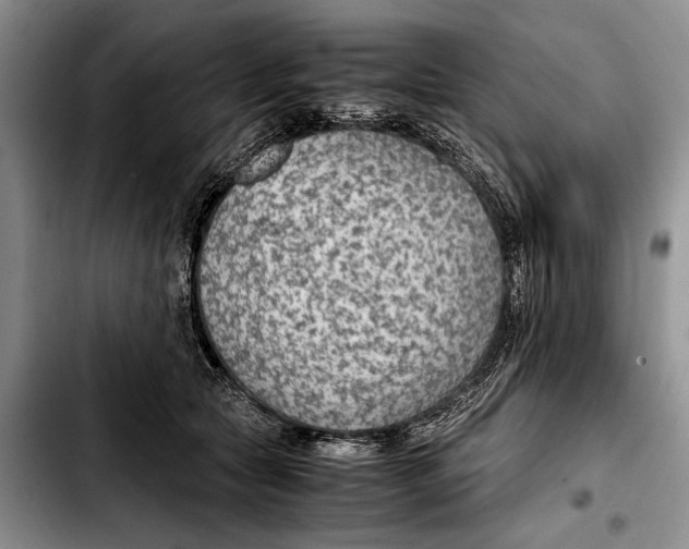 X0000103410561200810100959