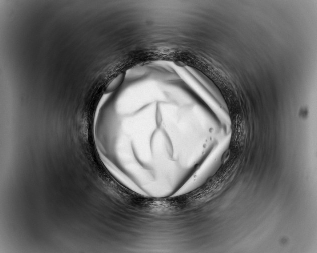 X0000103410562200810100959