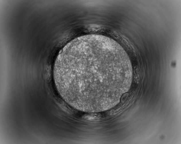 X0000103410563200810100959