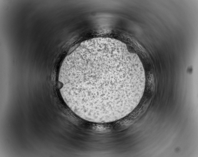 X0000103410565200810100959