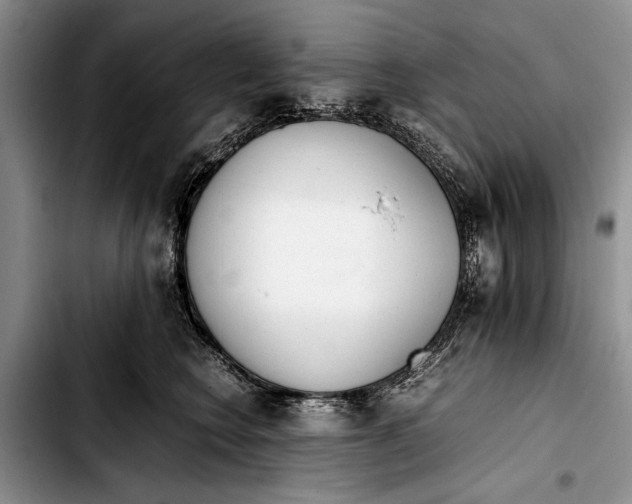 X0000103410566200810100959