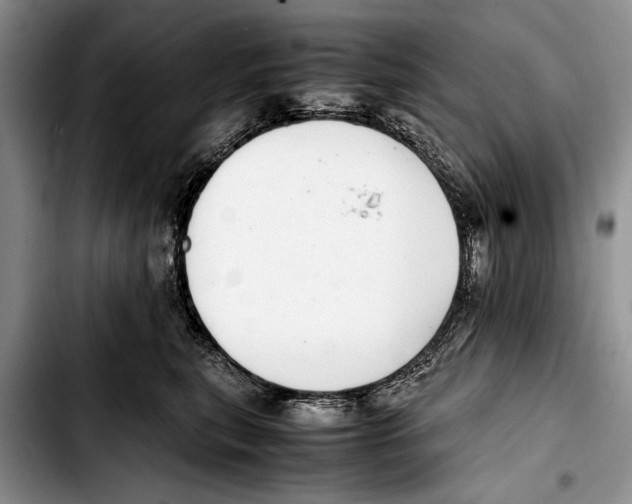 X0000103410567200810100959