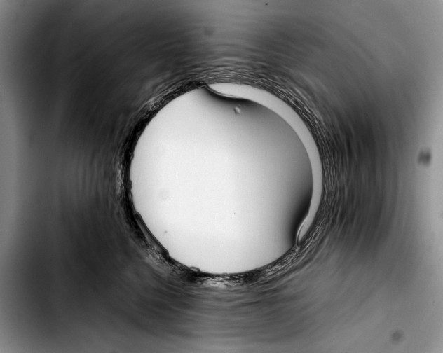 X0000103410568200810100959