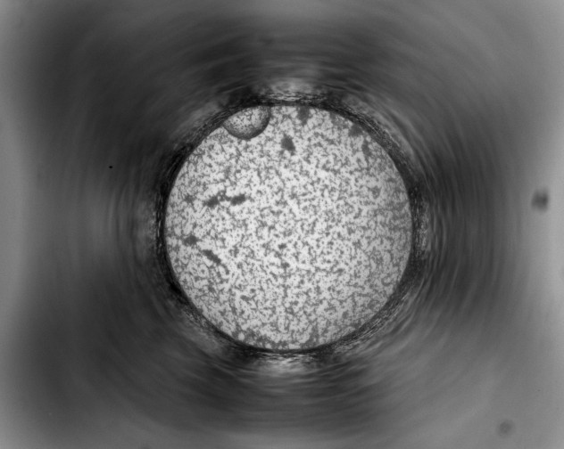 X0000103410569200810100959