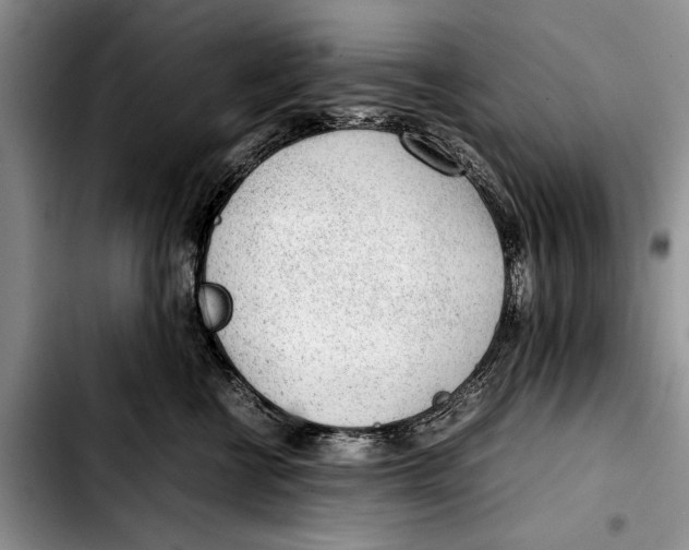 X0000103410570200810100959