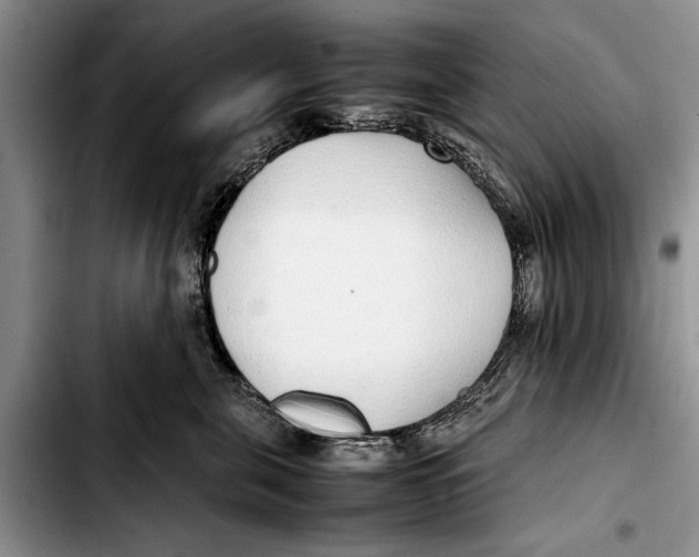 X0000103410571200810100959