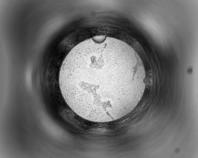 X0000103410573200810100959