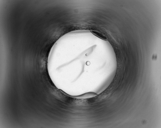 X0000103410576200810100959