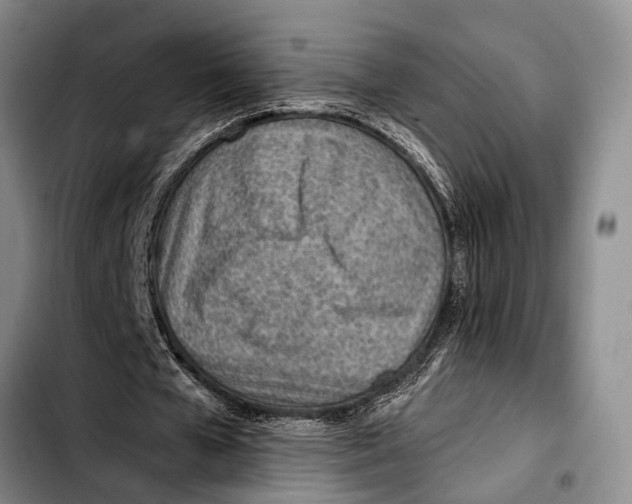 X0000103410577200810100959