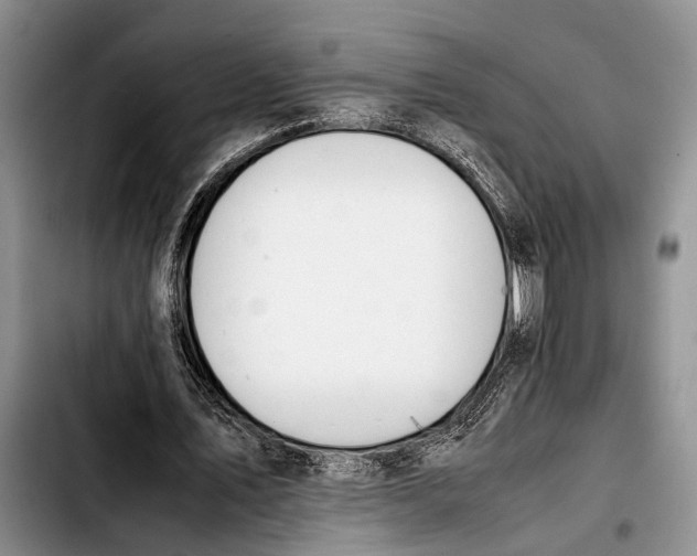 X0000103410579200810100958