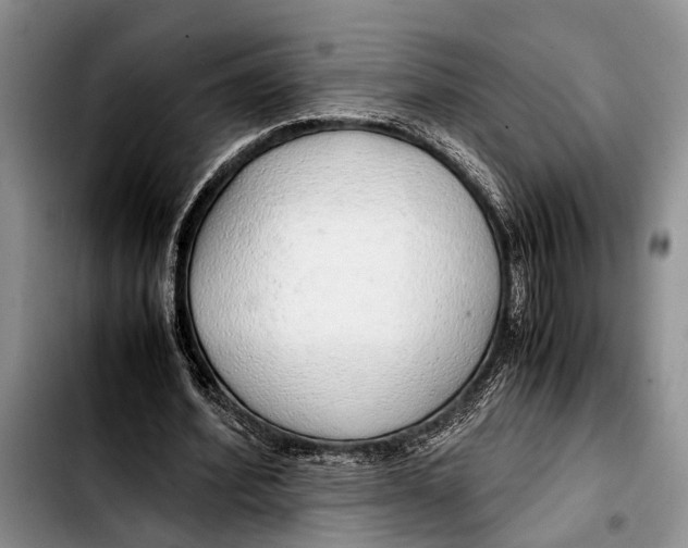 X0000103410580200810100958