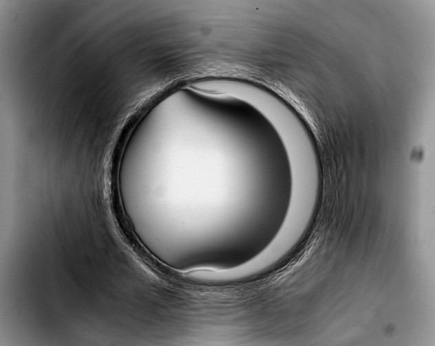 X0000103410581200810100958