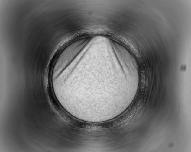 X0000103410582200810100958