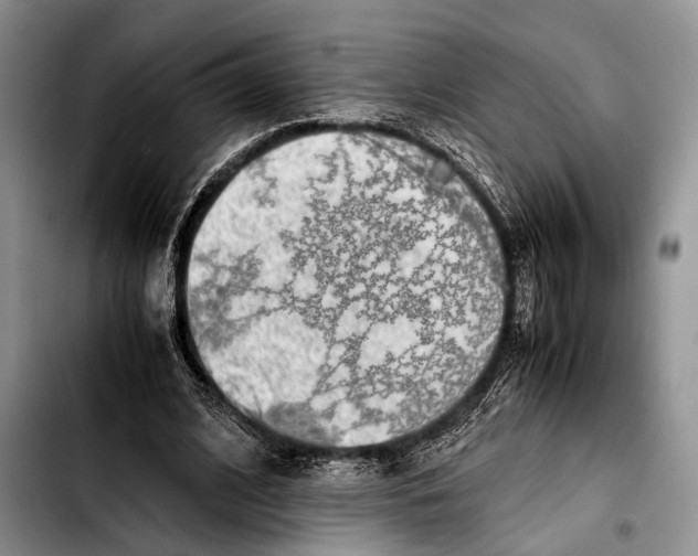 X0000103410584200810100958