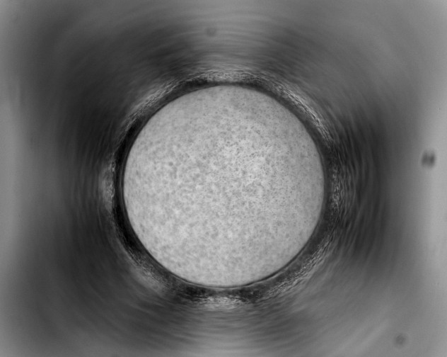 X0000103410586200810100958