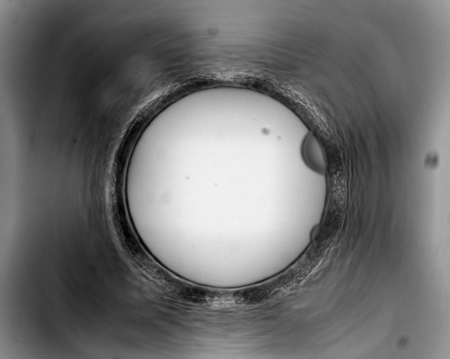 X0000103410587200810100958