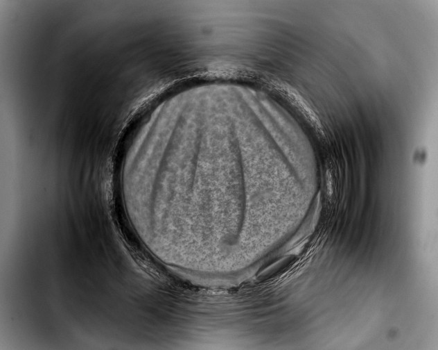 X0000103410588200810100958