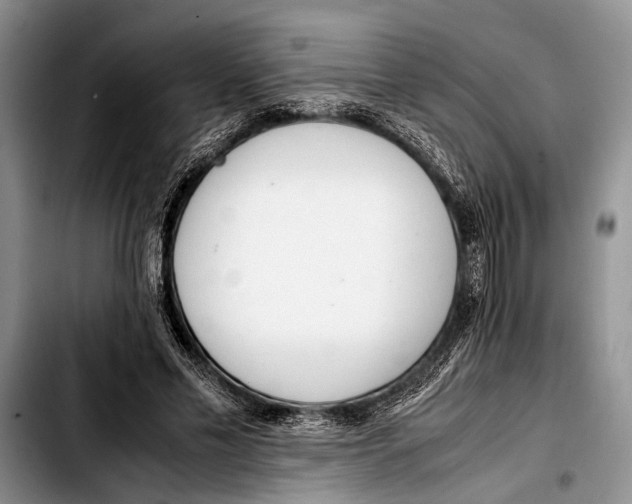 X0000103410589200810100958