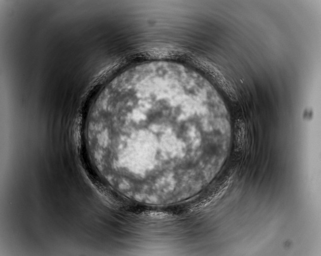 X0000103410590200810100958