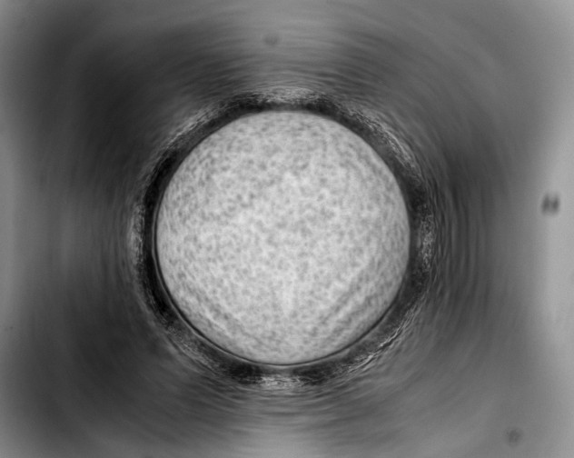 X0000103410591200810100958