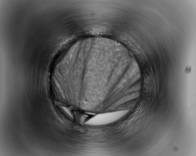 X0000103410592200810100958