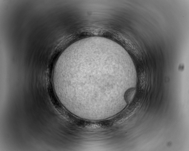 X0000103410594200810100958