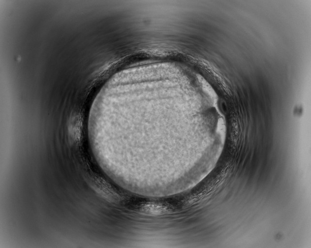 X0000103410596200810100958