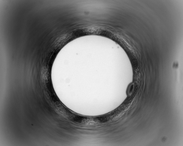 X0000103410597200810100958