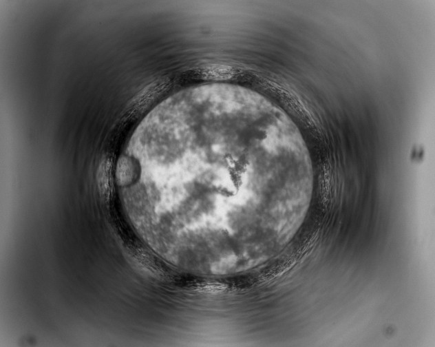 X0000103410598200810100958