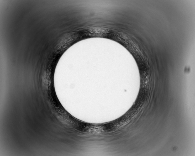 X0000103410599200810100958