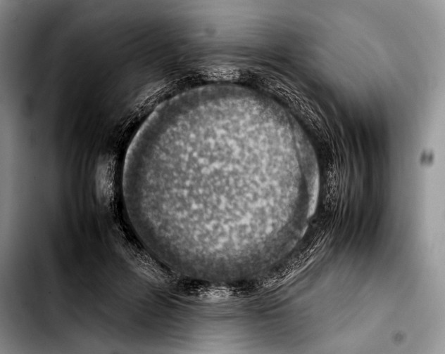 X0000103410600200810100958