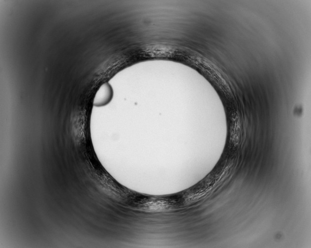 X0000103410604200810100958