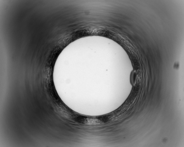 X0000103410605200810100958