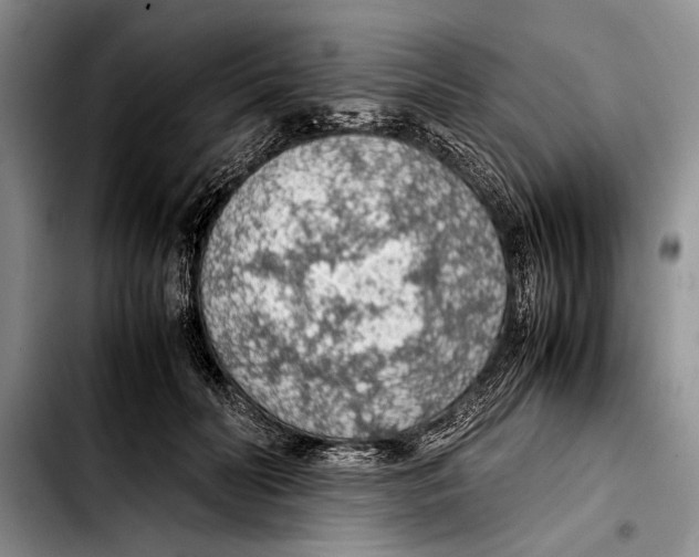 X0000103410606200810100958