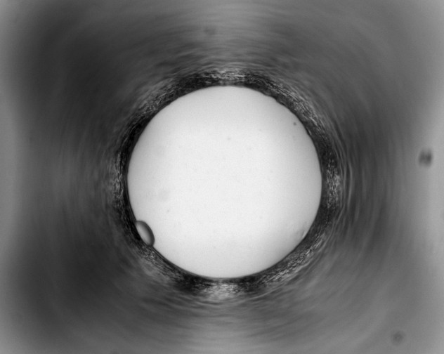 X0000103410609200810100958