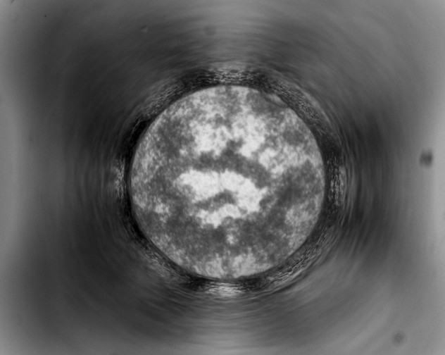 X0000103410610200810100958