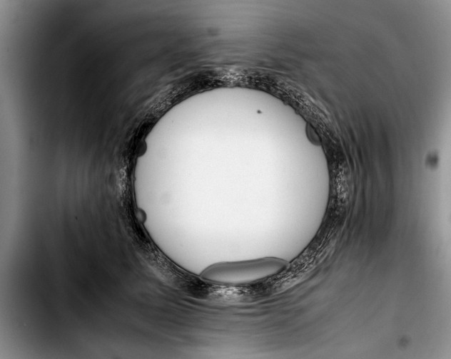 X0000103410611200810100958