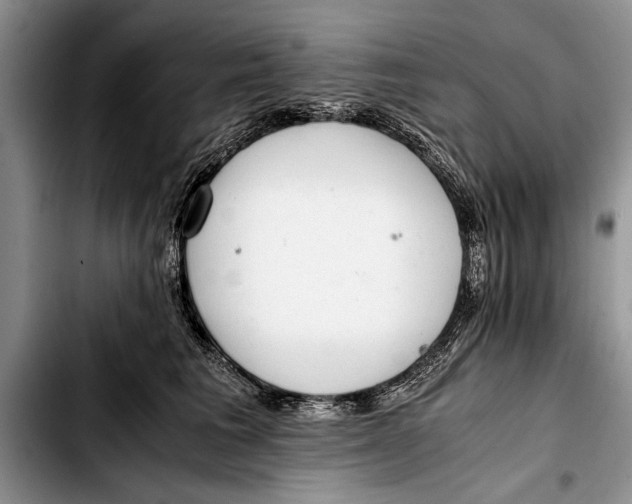 X0000103410613200810100958