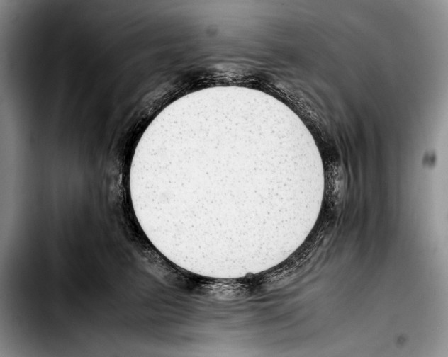 X0000103410615200810100958