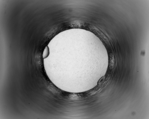 X0000103410616200810100958