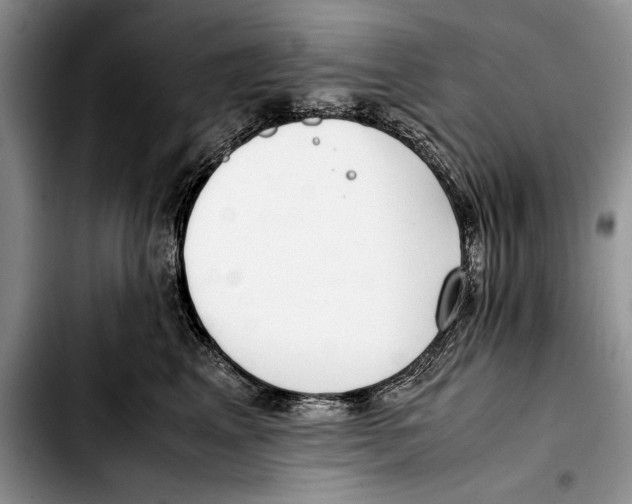 X0000103410617200810100958