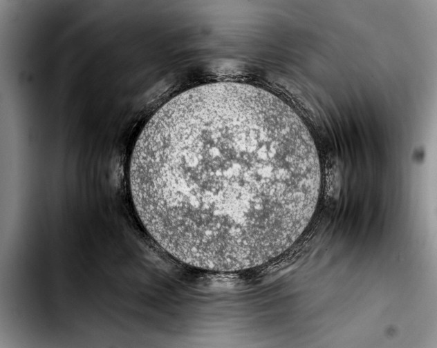 X0000103410618200810100958