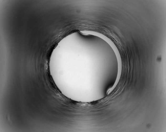 X0000103410621200810100958