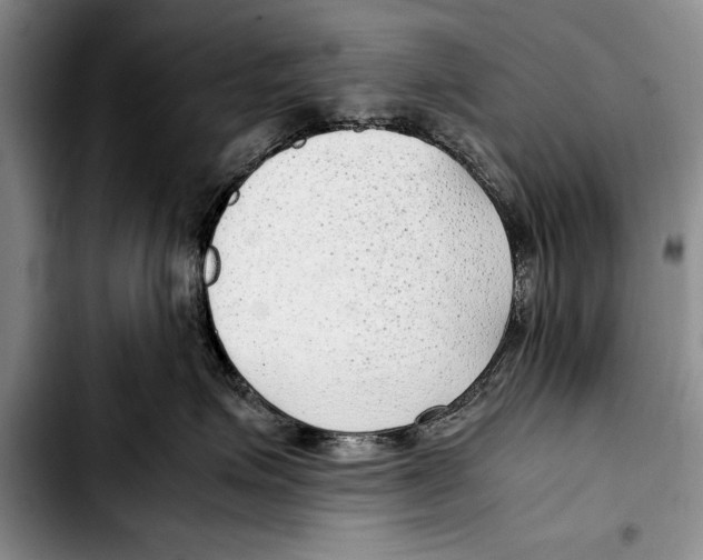 X0000103410623200810100958