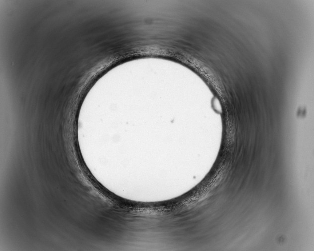 X0000103410625200810100957