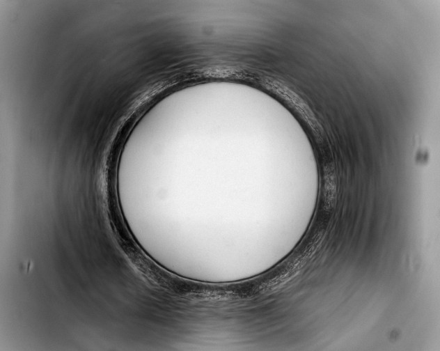 X0000103410626200810100957